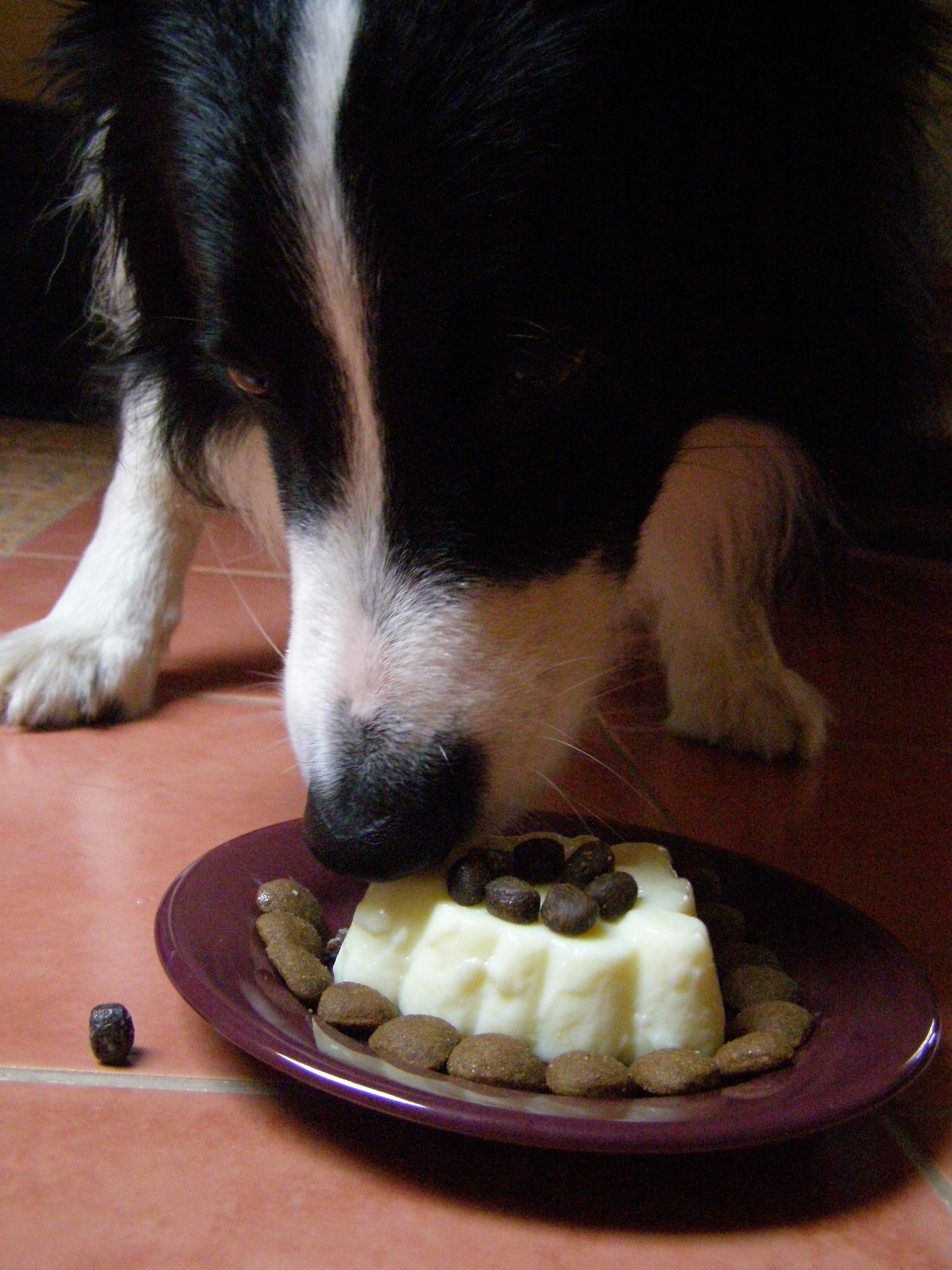 ..puding a dva druhy granulí:o)