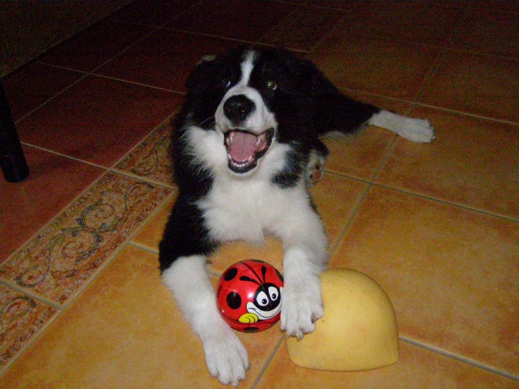 22.6.2009..mám čtyři měsíce
