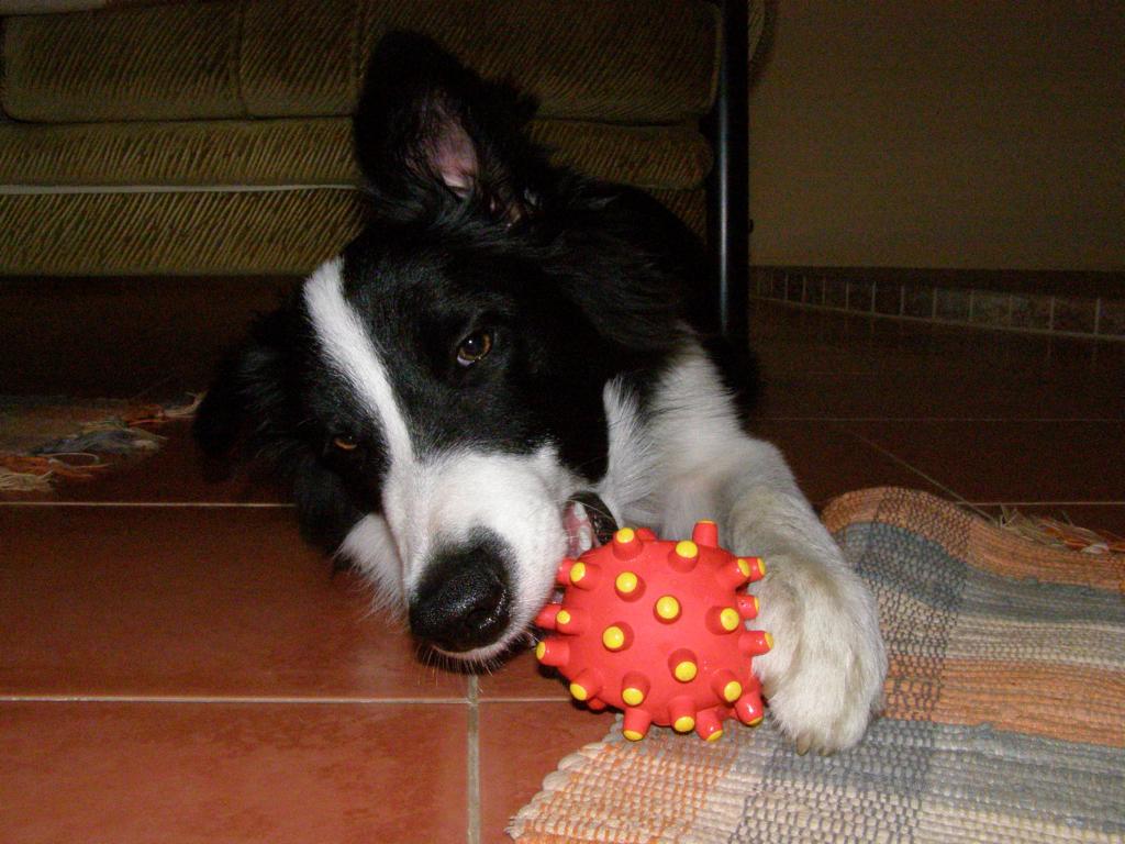 22.8.2009..tenhle je můj nejoblíbenější