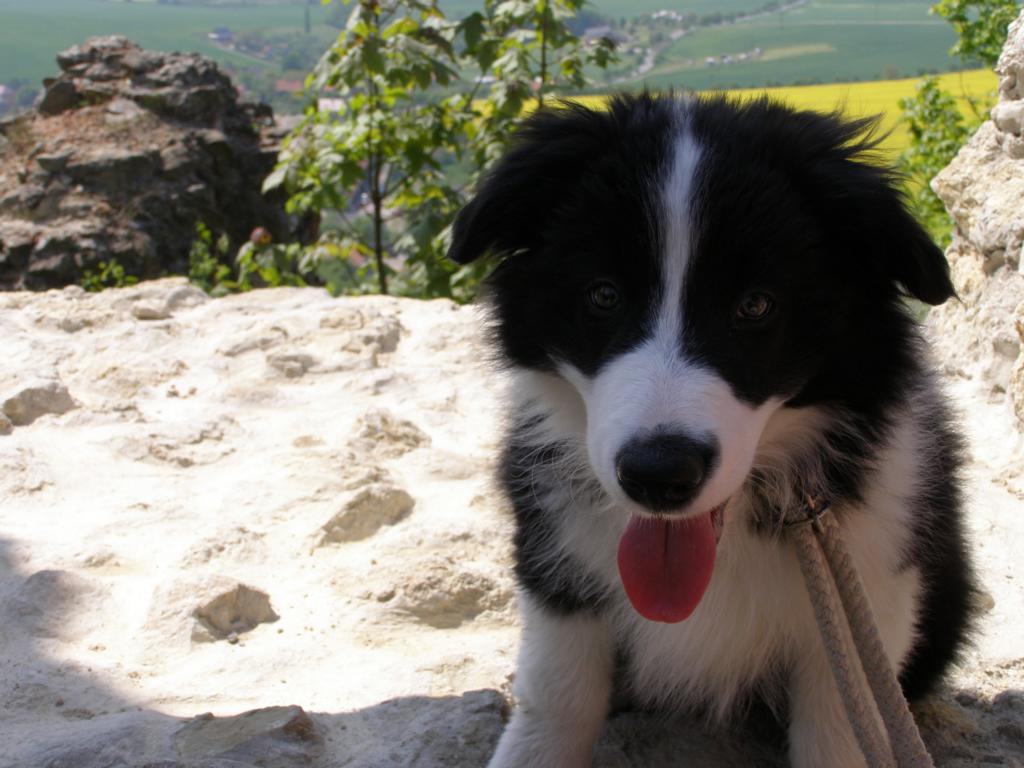 9.5.2009..to jsem vysoko!