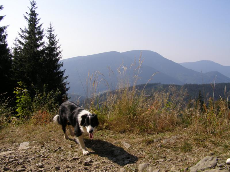 ..uff, to je výška a to tam ještě nejsme!