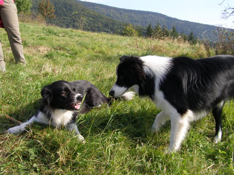 ...a sebrala mi klacíček a vrčela na mě! 