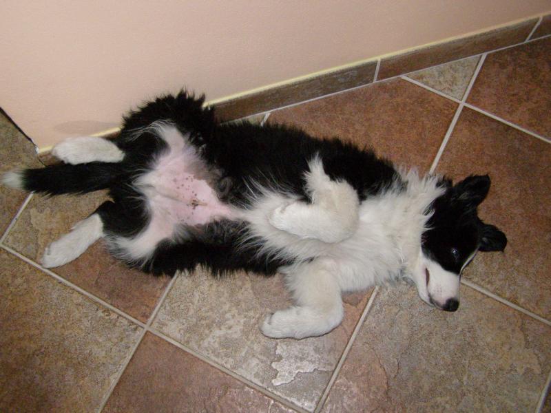 6.5.2009..na chodbě..takhle  ležím, když je mi horko...