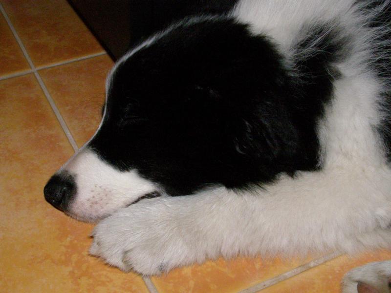 15.5.2009..na zemi v obýváku...