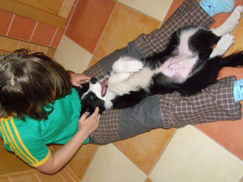 24.5.2009...pohodička v kuchyni...