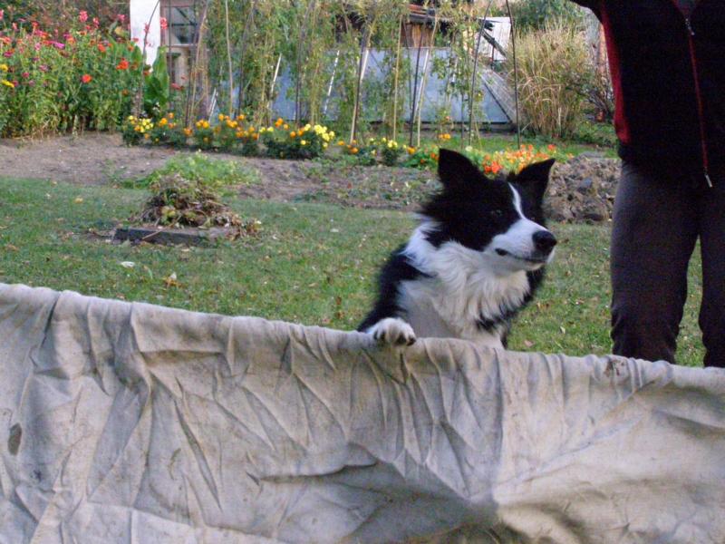5.10.2009..nejdřív si to omrknu, než skočím:-)