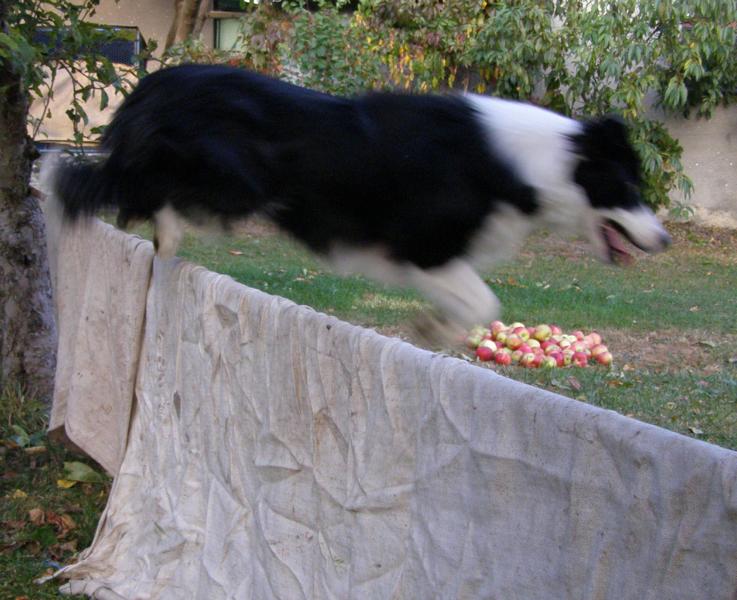 5.10.2009..hop!