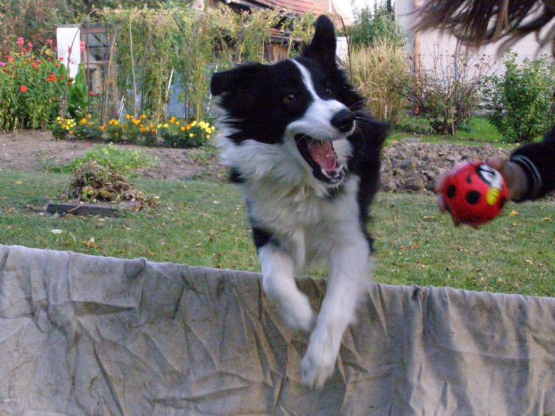 5.10.2009..tohle je úžasná zábava! :-)