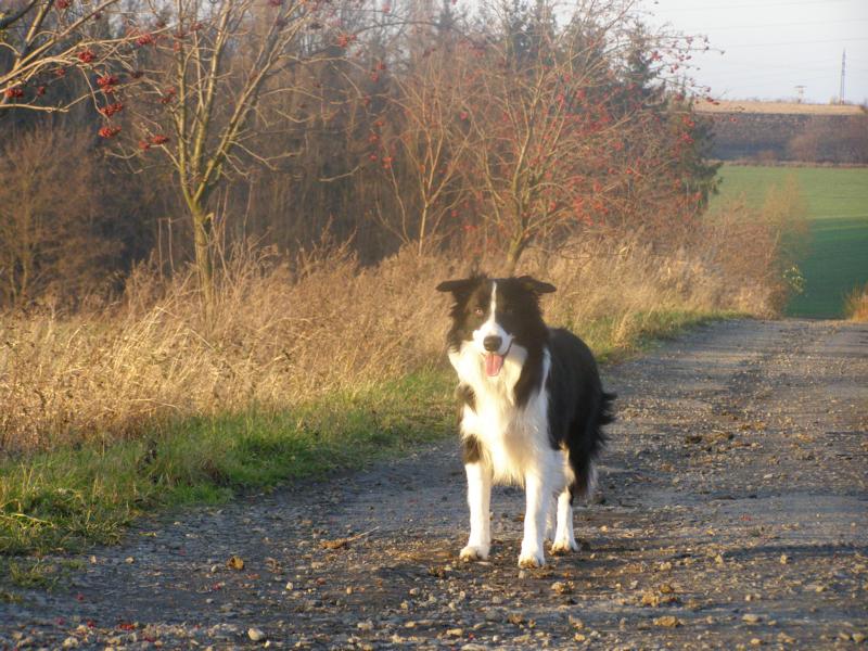 26.11.2009...hezky si je hlídám, ať je neztratím...