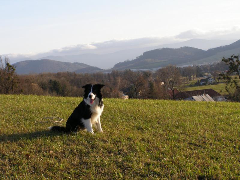 29.11.2009...a jsme na kopci nad Příborem...