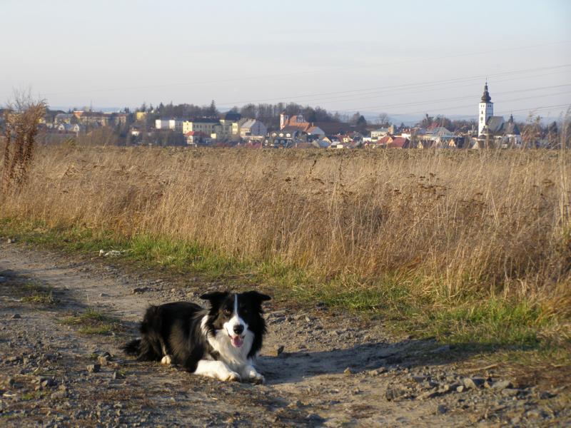 29.11.2009...trochu si odpočinu...