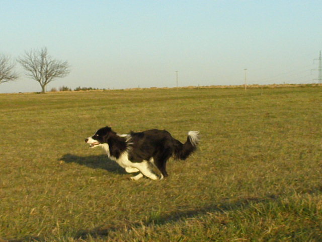 29.11.2009...není nad to, pořádně si zaběhat:-)