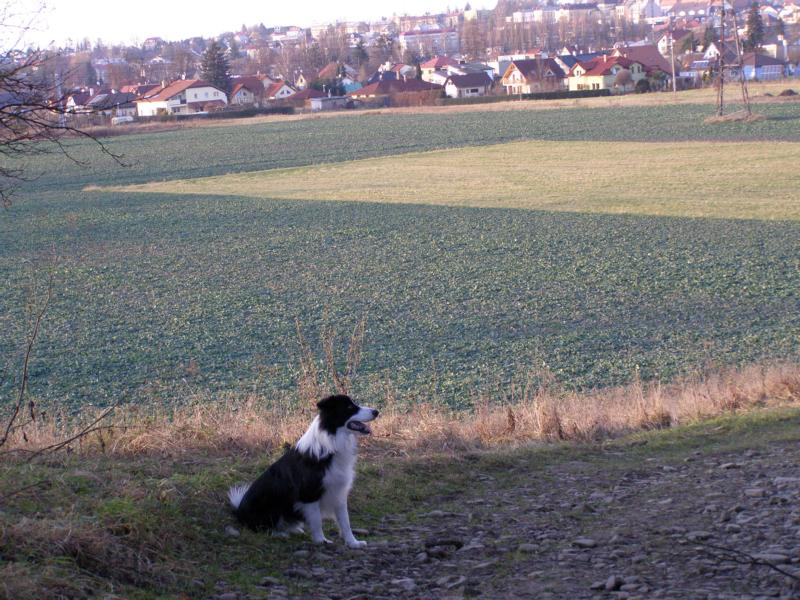 29.11.2009...cestou z kopce dolů se blížíme k Příboru:-) 