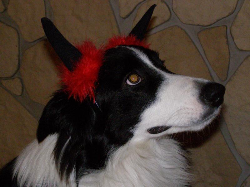 6.12.2009...ty čertovské rohy mi ale sluší! :-)