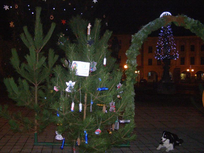 7.12.2009...stromečky a hlavně ty ozdůbky mě moc zajímají:-)