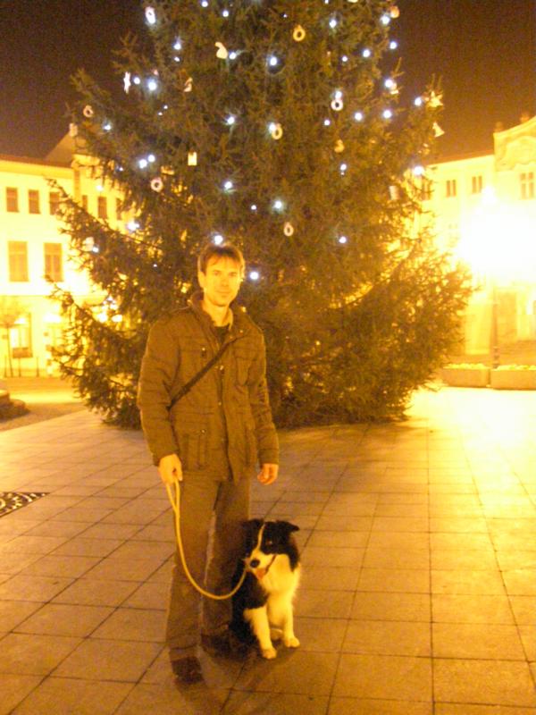 7.12.2009...svítící strom jsem ještě neviděl... :-)