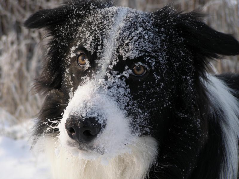 18.12.2009...jsem víc bílý než černý:-)