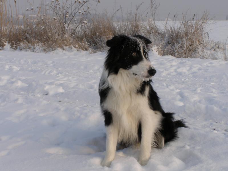 18.12.2009...do sněhu si klidně sednu...