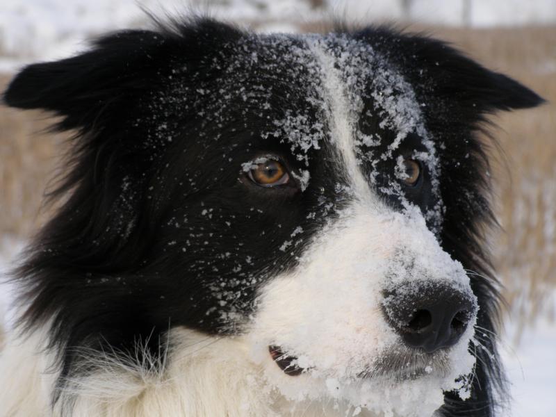 18.12.2009...ahoj příště! :-)