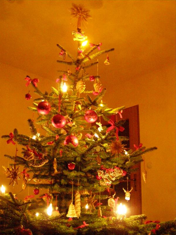 22.12.2009...už nám svítí:-)