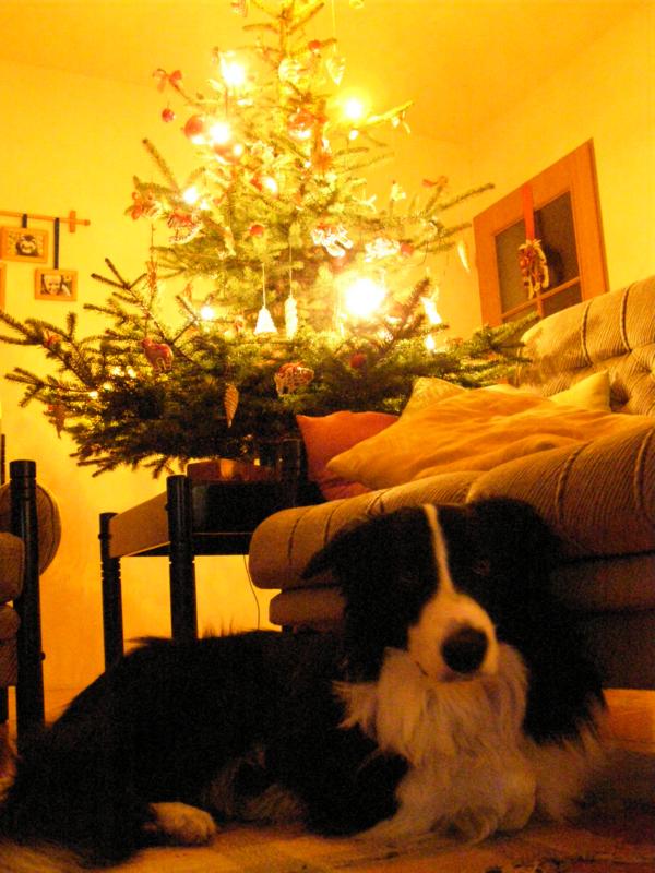 22.12.2009...a já mám dnes deset měsíců!