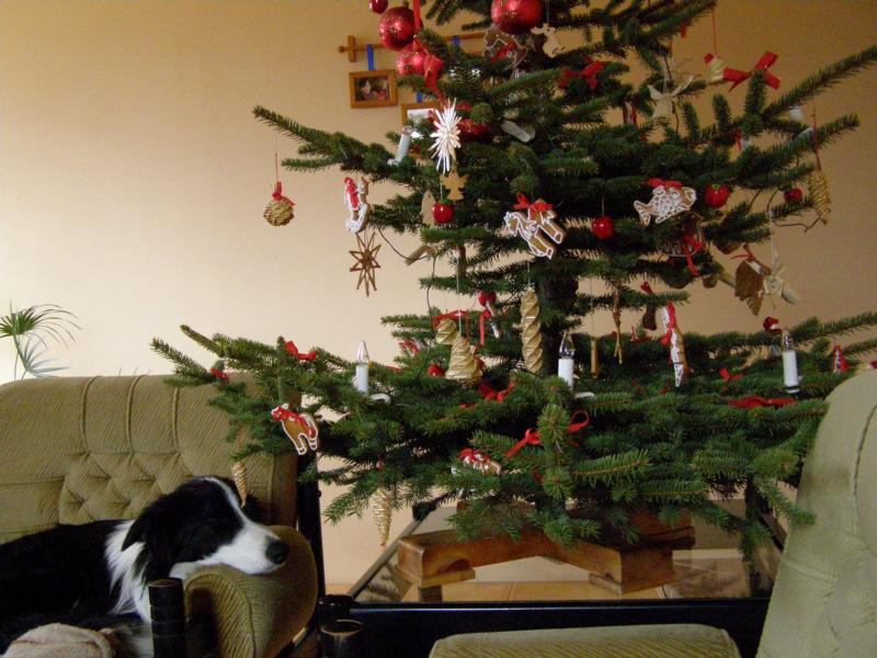 22.12.2009...no, to jsem se ale unavil....