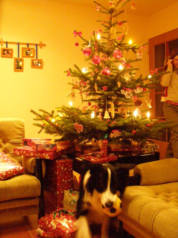 24.12.2009...jé, našel jsem můj dárek! Balónek!