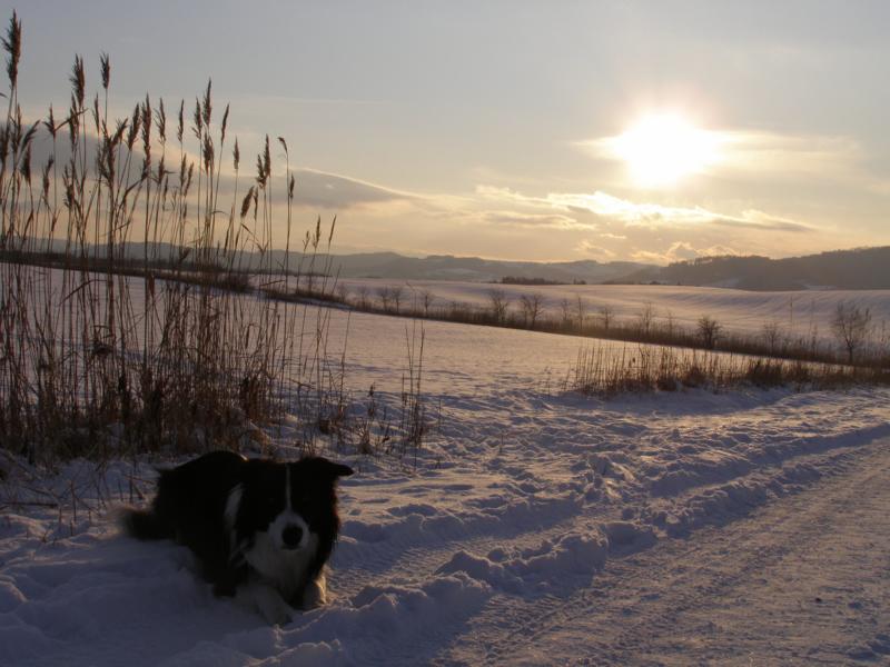 4.1.2010...s tím sluníčkem vypadám dobře:-)