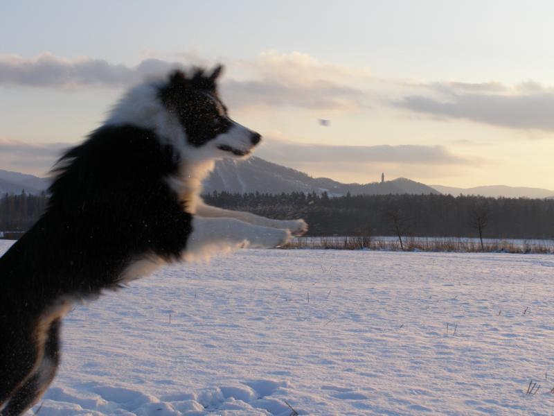 4.1.2010...moje oblíbená činnost