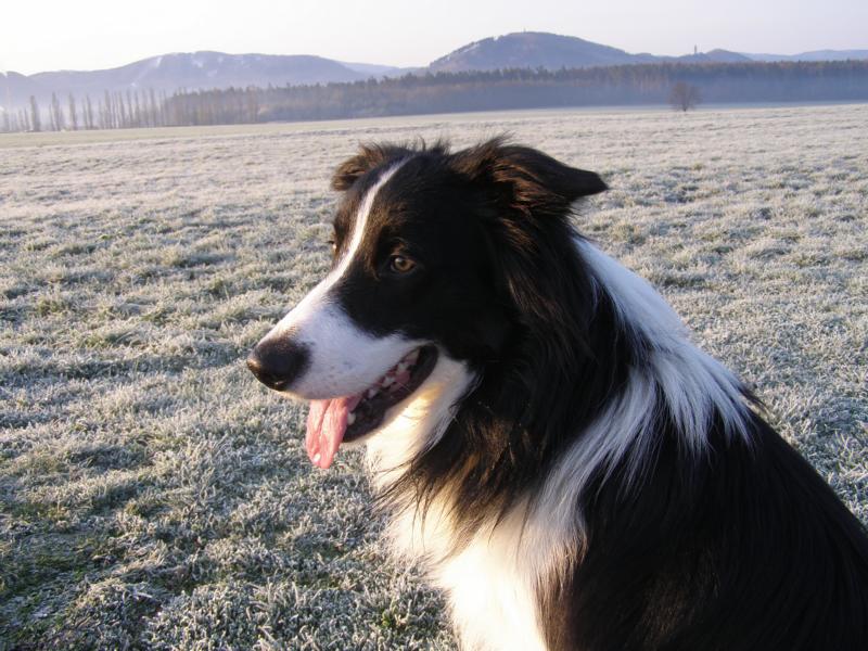 3.4.2010...ale začalo se ukazovat i sluníčko