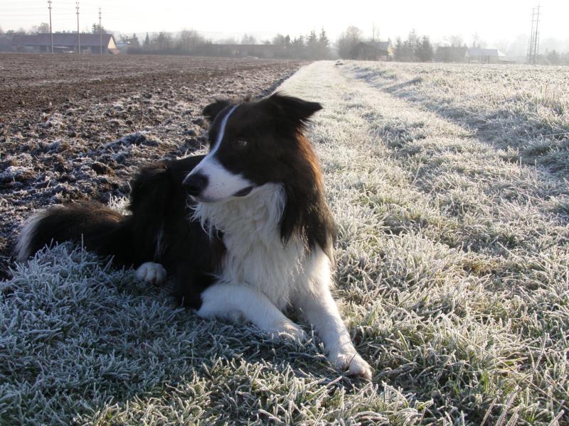3.4.2010...ještě chvíli poležím...