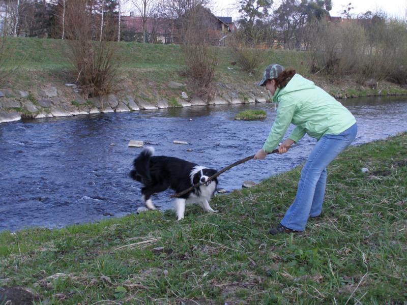 3.4.2010..tentokrát je ale veliký, tomu říkám klacíček!:o)  