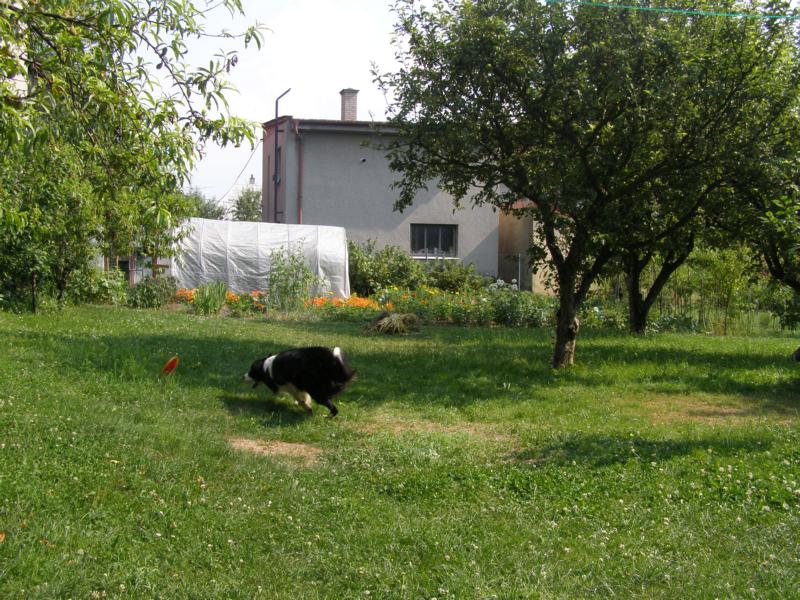 12.7.2010...bezva lítá vzduchem a já za ní