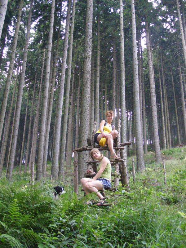 17.7.2010..a na zpáteční cestě ještě foto s krásným lesem