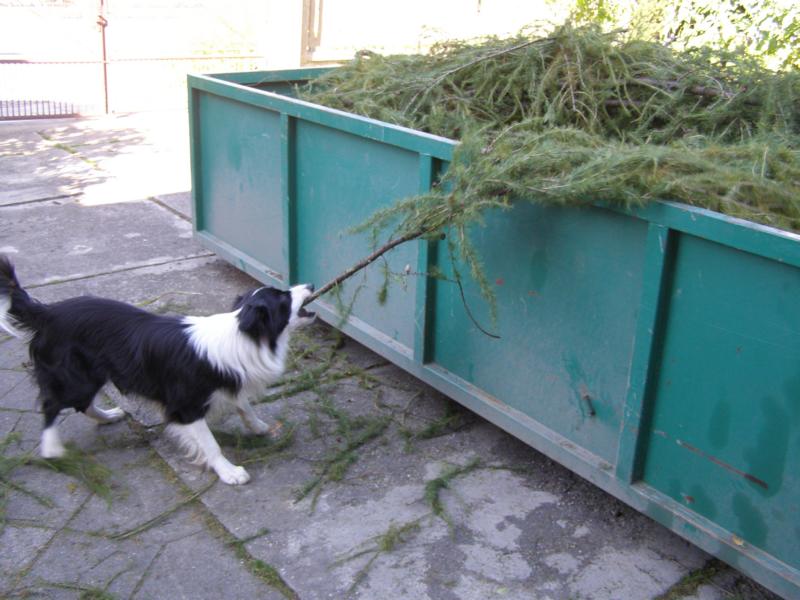 23.9.2010...aspoň jeden aportíček na hraní mi nechte...