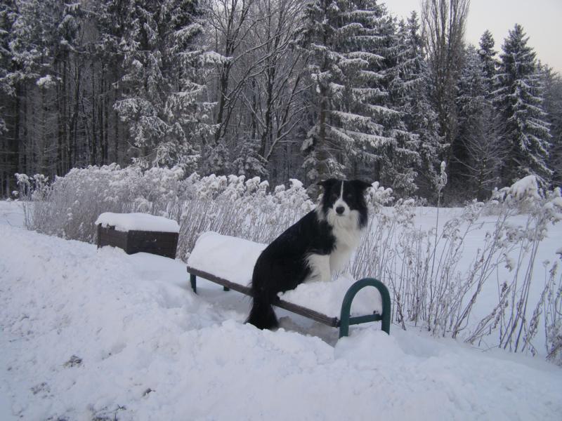 4.12.2010...pohodička na zasněžené lavičce