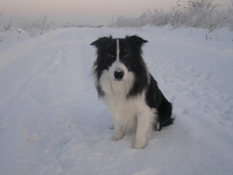 4.12.2010...a jdeme dál