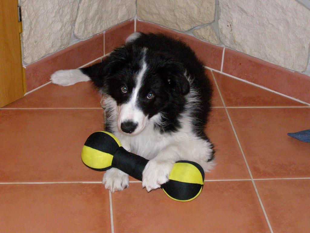 22.5.2009..mám tři měsíce