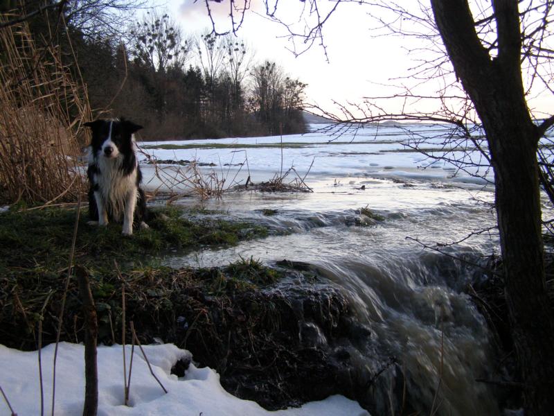 23.12.2010...místo snížku vodopád...