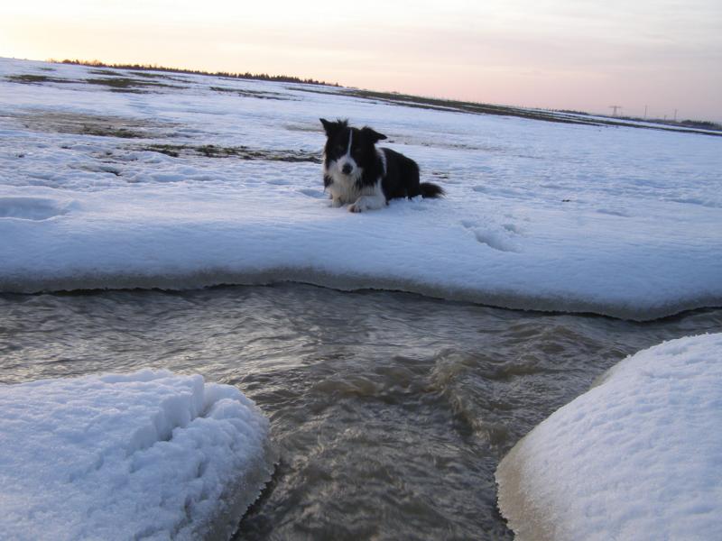 23.12.2010