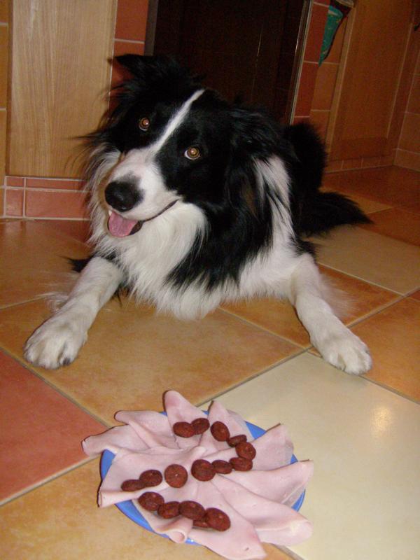 22.2.2011...dnes mám 2 roky...