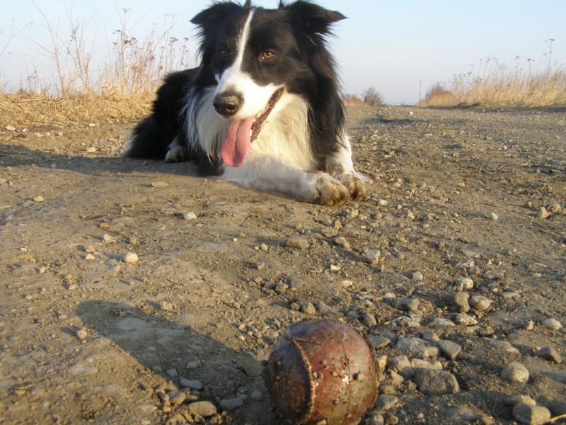 12.3.2011...vyhřejeme se na sluníčku...
