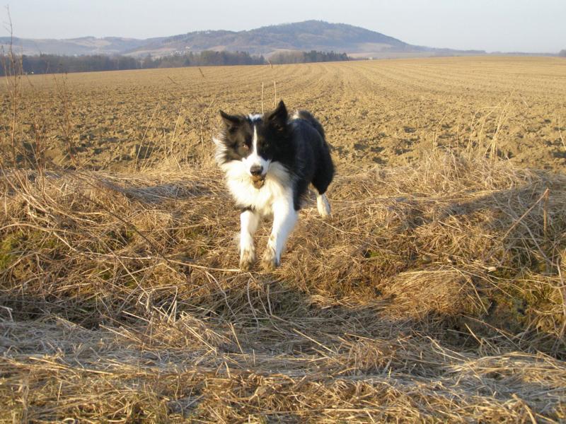 12.3.2011...zaskáčeme si...