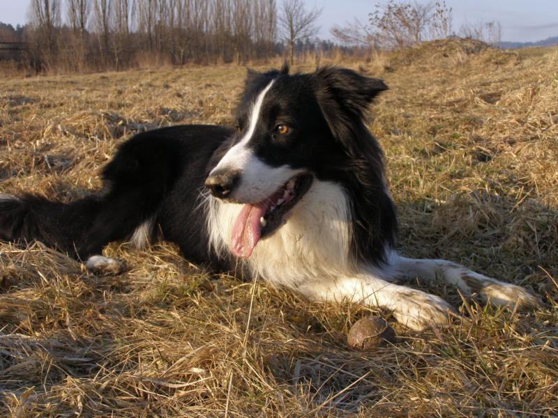 12.3.2011...já a můj kámoš tenisák:)