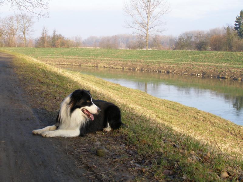 27.3.2011...pohodička u řeky