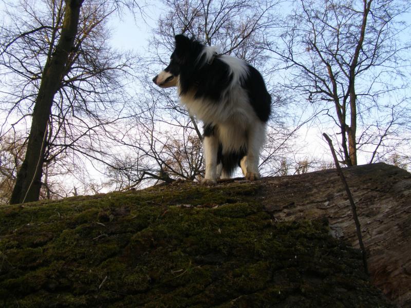 27.3.2011...to je parádní výhled:)
