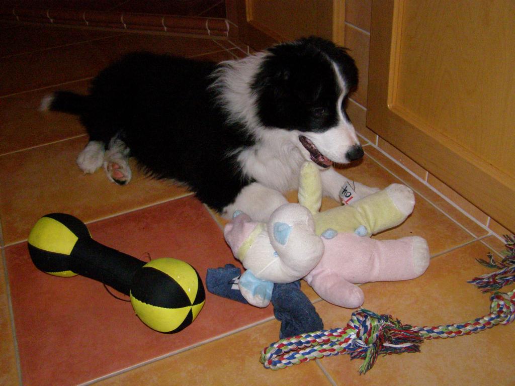 19.5.2009..to mám hraček!