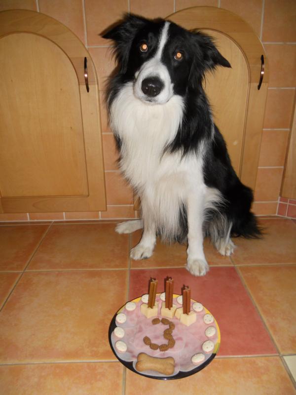 22.2.2012....dnes slavím 3 roky!