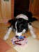 22.2.2011...a dostal jsem talířkový dort:)